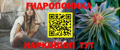 молекула духа Волжск
